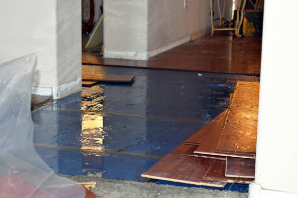 Professional Burst Pipe Cleanup technician working in Girard, PA